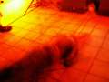 PICT1108