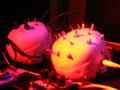 DSCF5137 DSCF5137