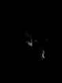 DSCF5378 DSCF5378