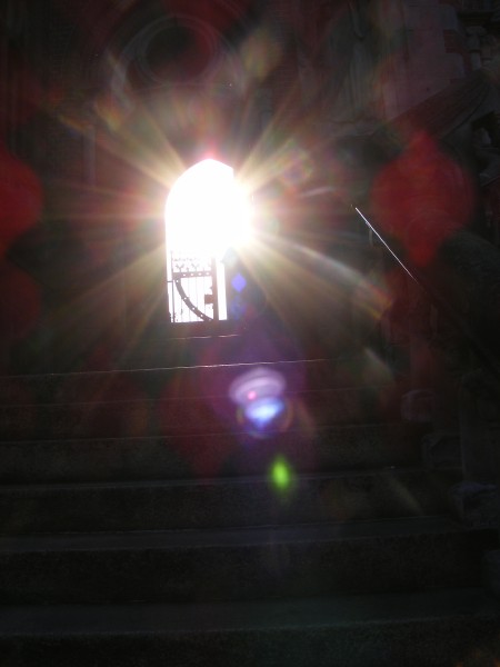 DSCF3167