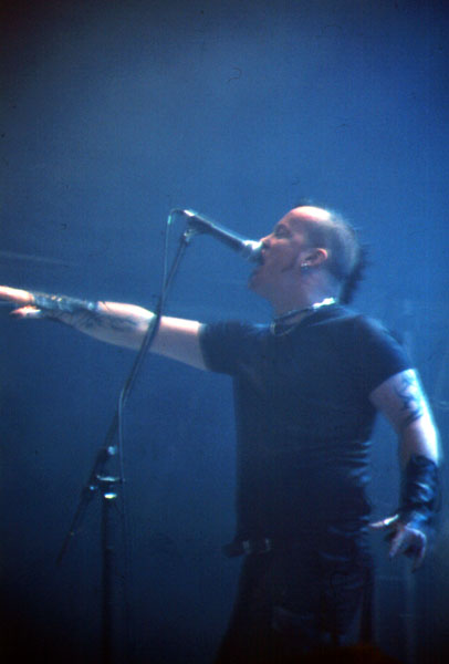 Tristania7