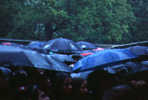regen