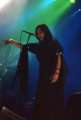 Tristania1