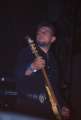 Tristania10