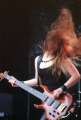 Tristania4