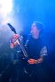 Tristania8