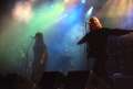 Tristania9